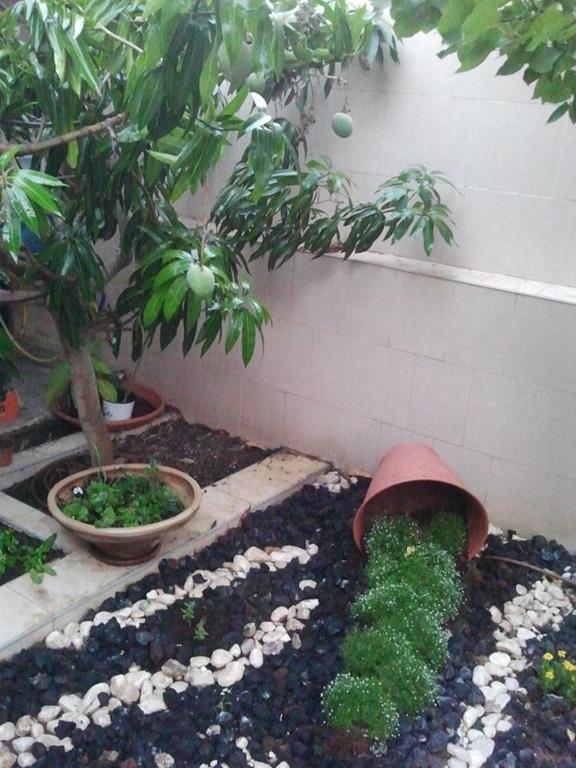 Guest House Ashdod-Beach Bagian luar foto